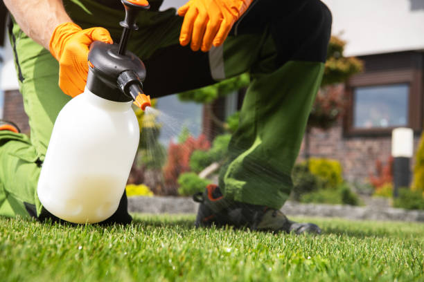 Best Pest Control Near Me  in Yamhill, OR