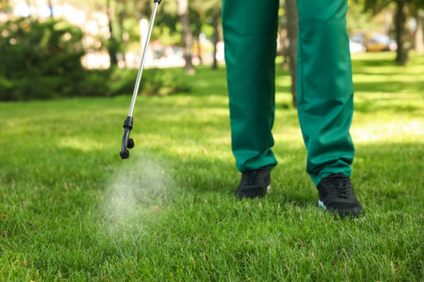 Trusted Yamhill, OR Pest Control Experts