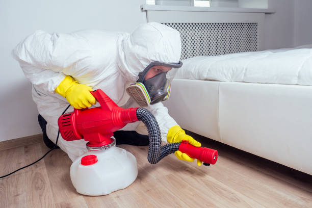 Professional Pest Control in Yamhill, OR