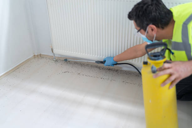 Best Wasp Removal Services  in Yamhill, OR