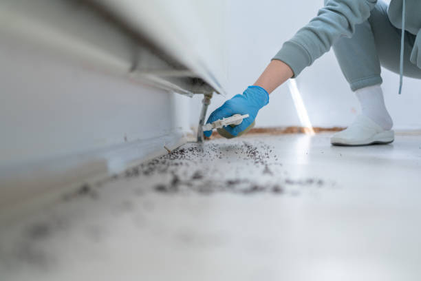 Insect Control in Yamhill, OR